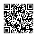 C&oacute;digo QR con el enlace al titular El prÃ³ximo 20 de marzo LeÃ³n subastarÃ¡ 213 lotes de armas