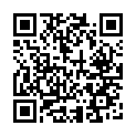 C&oacute;digo QR con el enlace al titular Se desploma una grÃºa en Fuentesnuevas