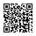 Código QR con el enlace al titular Nuevo concierto de Venganza
