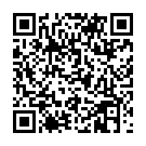 Código QR con el enlace al titular Una mujer empotra su vehÃ­culo en la rotonda de Carrefour, cae a la fuente y logra salir ilesa