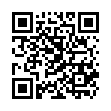 Código QR con el enlace al titular Campeonato Europeo de Karting