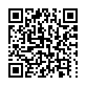 Código QR con el enlace al titular El alcalde recibe al nuevo general del Maca