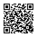 Código QR con el enlace al titular Cuatro personas heridas al colisionar cuatro vehÃ­culos en la entrada de La Virgen del Camino