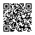 Código QR con el enlace al titular Villarroel reprocha al Ayuntamiento la incompetencia de Acciona