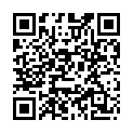 Código QR con el enlace al titular La patraÃ±a del viaducto que salvarÃ­a Lancia