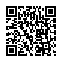 Código QR con el enlace al titular Virgen peregrina