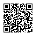 Código QR con el enlace al titular Detienen a dos menores por hurto Astorga