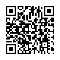 Código QR con el enlace al titular Alesa Â«no entiendeÂ» la protesta de la plantilla por las suplantaciones de los interurbanos