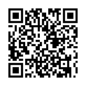Código QR con el enlace al titular Denunciado un varÃ³n de 23 aÃ±os por robar un pony