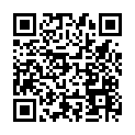 Código QR con el enlace al titular Borrenes vuelve a cortar el paso del autobÃºs turÃ­stico y la FundaciÃ³n pide tiempo para probar el sistema