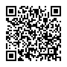 Código QR con el enlace al titular Un herido al terminar volcado con su vehÃ­culo dentro de las instalaciones del nuevo AKI