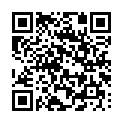Código QR con el enlace al titular Â¿LÃ­o en Puente Castro?