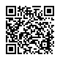 Código QR con el enlace al titular Bierzoland, diversiÃ³n en Toral de los Vados