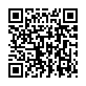 Código QR con el enlace al titular â€˜RevÃ³lverâ€™ llena la plaza Mayor con miles de fieles que corearon sus Ã©xitos