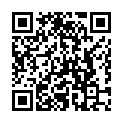 Código QR con el enlace al titular Un vehÃ­culo se sale de la vÃ­a y colisiona contra una valla en Veguellina de Ã“rbigo