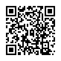 Código QR con el enlace al titular Heridas dos mujeres, un niÃ±o y dos bebÃ©s en un accidente en Veguellina de Ã“rbigo