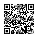 Código QR con el enlace al titular Los fuegos artificiales cierran las fiestas patronales de Santa Marta 2017