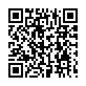 Código QR con el enlace al titular Los cobros de kilometrajes &#039;arrinconan&#039; al viceportavoz del PSOE en las Cortes