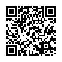 Código QR con el enlace al titular Fiestas y festejos