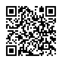 Código QR con el enlace al titular Air Nostrum &#039;aparca&#039; sus vuelos de sol y playa y apuestan de nuevo por Barcelona