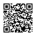 Código QR con el enlace al titular Vidales, subcampeÃ³n del mundo de Karting