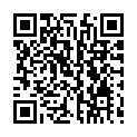 Código QR con el enlace al titular IU recogerÃ¡ demandas sobre la la Variante, cuyas filtraciones Â«podrÃ­an abastecer a AvilÃ©sÂ»