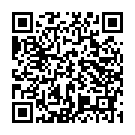 Código QR con el enlace al titular DiversiÃ³n y comida sobre ruedas
