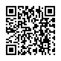C&oacute;digo QR con el enlace al titular San MartÃ­n, patrÃ³n del centro