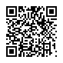 C&oacute;digo QR con el enlace al titular Fiestas de San MartÃ­n en Velilla