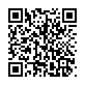 C&oacute;digo QR con el enlace al titular LeÃ³n recupera el legado del Che