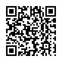 C&oacute;digo QR con el enlace al titular Robos perfectos