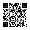 C&oacute;digo QR con el enlace al titular Doce de noviembre
