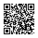 C&oacute;digo QR con el enlace al titular II ENCUENTRO DE BOLILLOS