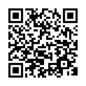 C&oacute;digo QR con el enlace al titular Un camiÃ³n se estrella en el puente de San Marcos al no calcular su altura