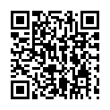 C&oacute;digo QR con el enlace al titular Alarmas en El ToralÃ­n