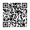 C&oacute;digo QR con el enlace al titular La iluminaciÃ³n navideÃ±a llega este viernes con 100.000 puntos y una fuente de 6.000 euros