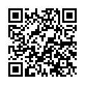C&oacute;digo QR con el enlace al titular La PolicÃ­a Local pone en marcha la campaÃ±a para garantizar la seguridad de los leoneses en Navidad
