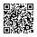 C&oacute;digo QR con el enlace al titular 350 piezas de Playmobil forman un BelÃ©n realmente curioso