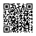 C&oacute;digo QR con el enlace al titular San Miguel de las DueÃ±as sorprende con su belÃ©n artesano con material reciclable