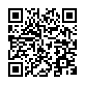 C&oacute;digo QR con el enlace al titular Un BelÃ©n de Playmobil