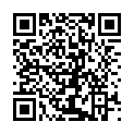C&oacute;digo QR con el enlace al titular Felices Fiestas