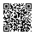 C&oacute;digo QR con el enlace al titular La primera cÃ¡mara para lectura de matrÃ­culas ya vigila el acceso hasta el centro por la Calle Ancha