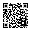 C&oacute;digo QR con el enlace al titular La primera cÃ¡mara para lectura de matrÃ­culas ya 'vigila' los accesos desde  la Calle Ancha