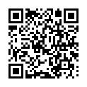 C&oacute;digo QR con el enlace al titular La nueva ordenanza para bicicletas en LeÃ³n capital entra de lleno en la Â«fase informativaÂ»