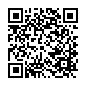 C&oacute;digo QR con el enlace al titular La PolicÃ­a Local detiene a dos madrileÃ±os por una decena de robos en locales de LeÃ³n capital