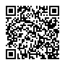 C&oacute;digo QR con el enlace al titular La nieve y el hielo bloquean numerosas carreteras para trÃ¡fico pesado