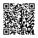 C&oacute;digo QR con el enlace al titular Los Bomberos retiran las lajas de hielo de la fachada del Auditorio y evitan daÃ±os personales