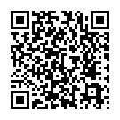 C&oacute;digo QR con el enlace al titular Sainz conserva 45 minutos de ventaja sobre Peterhansel