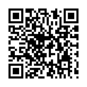 C&oacute;digo QR con el enlace al titular El director de la DGT explica este lunes su gestiÃ³n en el caos de la AP-6