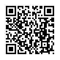 C&oacute;digo QR con el enlace al titular Tesla en La BaÃ±eza
